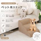 ノーフォークテリア犬 ノーフォー�