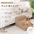ノーリッチテリア犬 ノーリッチ ペ�