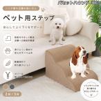 バセットハウンド犬 バセット ペッ�