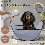  керамика slow капот собака кошка посуда из дерева подставка есть . еда . предотвращение предотвращение скольжения маленький размер собака кошка для капот миска комплект новая модель тарелка есть для kya шероховатость a King Charles spaniel собака 