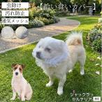  Jack russell терьер собака Jack russell .. еда . предотвращение покрытие собака для сетка mazru прогулка безопасность инсектицид загрязнения предотвращение размер регулировка возможно маленький размер собака средний собака 