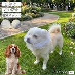 kya шероховатость a King Charles spaniel собака .. еда . предотвращение покрытие собака для сетка mazru прогулка безопасность инсектицид загрязнения предотвращение размер регулировка возможно маленький размер собака средний собака 