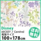 カーテン Disney ディズニー disney ミッキー カーニバル 既製  約 幅100×丈178cm