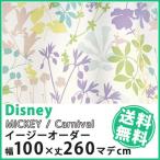 カーテン Disney ディズニー disney ミッキー カーニバル イージーオーダー 幅1〜100×丈1〜260cm