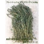 神奈川県産　フレッシュハーブ【コモンタイム】50g 農薬、化学肥料、除草剤不使用（ハーブティー　野菜　サラダ　生　業務用　スパイス）