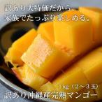  Okinawa префектура производство .. манго 1kg(2~3 шар ) Okinawa префектура .. сиденье . производство дом для бесплатная доставка 