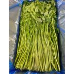 [ Корея прямой рефрижератор отправка ]seli4kg свежий овощи (minali. местного производства mina limi nali Sam gyop обезьяна ). местного производства Корея отправка 