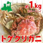 トゲクリガニ 中サイズ（メス）約１kg６〜７ハイ（塩茹で）青森陸奥湾産とげくりがに（栗ガニ・カニ・蟹）