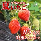 夏秋いちご すずあかね（Ｍサイズ）35玉×2合計70玉（送料別）
