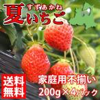 予約販売（送料無料）夏秋いちご すずあかね（200ｇ×4）家庭用不揃い