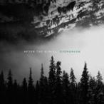 EVERGREEN[ зарубежная запись ]V/AFTER THE BURIAL[CD][ возвращенный товар вид другой A]