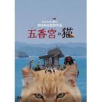 .... кошка / документальный фильм [DVD][ возвращенный товар вид другой A]