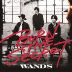 BURN THE SECRET/WANDS[CD]通常盤【返品種別A】