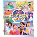 「おかあさんといっしょ」ファミリーコンサート 〜たいせつなもの、なあに?〜/花田ゆういちろう,ながたまや[Blu-ray]【返品種別A】