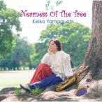 Nearness Of The Tree/山口啓子[CD]