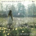  ho ватт *a* beautiful * Play s/ Katharine * - u[SHM-CD][ бумага жакет ][ возвращенный товар вид другой A]