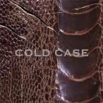 COLD CASE【vister】(通常盤/DVD付)/vistlip[CD+DVD]【返品種別A】