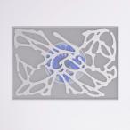 [枚数限定][限定盤]NEW DNA(G ver.)/XG[CD]