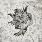 [枚数限定][限定盤]United Sparrows(初回生産限定盤)/FLOW[CD+Blu-ray]【返品種別A】