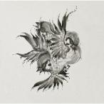 United Sparrows/FLOW[CD]通常盤【返品種別A】