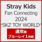 Stray Kids Fan Conne