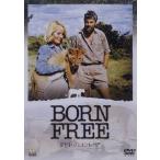 野生のエルザ/バージニア・マッケンナ[DVD]【返品種別A】