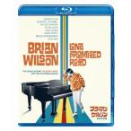 ブライアン・ウィルソン/約束の旅路/ブラ