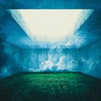 MAZE/Nothing's Carved In Stone[CD]【返品種別A】