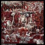 ���B�W�����Y�E�I�u�E�g���X���M�X�g�X/�l�N���}���V�I��[CD]�y�ԕi���A�z