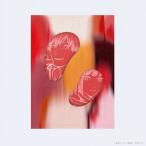  чейнджер so- man Vol.4 DVD/ анимация [DVD][ возвращенный товар вид другой A]