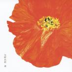 окно / стрела . подлинный .[CD+DVD][ возвращенный товар вид другой A]