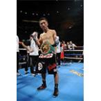The Most Exciting Boxer内藤大助2008/内藤大助[DVD]【返品種別A】