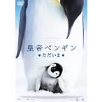 皇帝ペンギン ただいま スペシャル・プライス/ドキュメンタリー映画[DVD]【返品種別A】