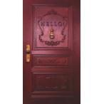 [枚数限定][限定版]真夜中にハロー!(