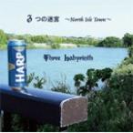 3.. ..~North Isle Town~/s Lee лабиринт [CD][ возвращенный товар вид другой A]