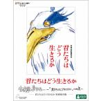 [先着特典付]君たちはどう生きるか 特別保存版【DVD】/宮崎駿[DVD]【返品種別A】