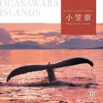  маленький .. различные остров / исцеление [CD][ возвращенный товар вид другой A]
