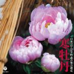 平成27年度(第51回) 日本コロムビア吟詠音楽会選定 寒牡丹/オムニバス[CD]【返品種別A】