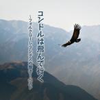 コンドルは飛んで行く〜フォルクローレ・アンデスの響き〜 ベスト/オムニバス[CD]【返品種別A】