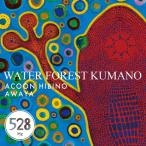WATER FOREST KUMANO/ACOON HIBINO[CD]【返品種別A】