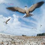 SEYCHELLES/ высота средний правильный .[SHM-CD][ возвращенный товар вид другой A]