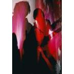 BOOM BOOM SATELLITES JAPAN TOUR 2006 at STUDIO COAST〈通常盤〉/ブンブンサテライツ[DVD]【返品種別A】