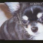 FLY/真心ブラザーズ[CD]【返品種別A】