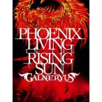 PHOENIX LIVING IN THE RISING SUN/GALNERYUS[DVD]【返品種別A】
