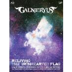 RELIVING THE IRONHEARTED FLAG/GALNERYUS[Blu-ray]【返品種別A】