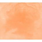 100年後/OGRE YOU ASSHOLE[CD]【返品種別A】