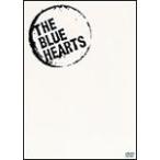 ショッピングHEARTS 「ブルーハーツが聴こえない」HISTORY OF THE BLUE HEARTS/ザ・ブルーハーツ[DVD]【返品種別A】