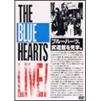  The * Blue Hearts Live 1987.7.4 день соотношение .. звук 1988.2.12 Япония будо павильон / The * Blue Hearts [DVD][ возвращенный товар вид другой A]