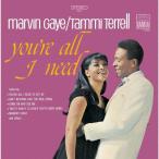 [ листов число ограничение ][ ограничение запись ]yua-* все * I * need /ma- vi n*gei[CD][ возвращенный товар вид другой A]