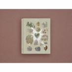 [枚数限定][限定盤][先着特典付]形藻土(初回限定魔導書盤)【4CD】/ずっと真夜中でいいのに。[CD]【返品種別A】